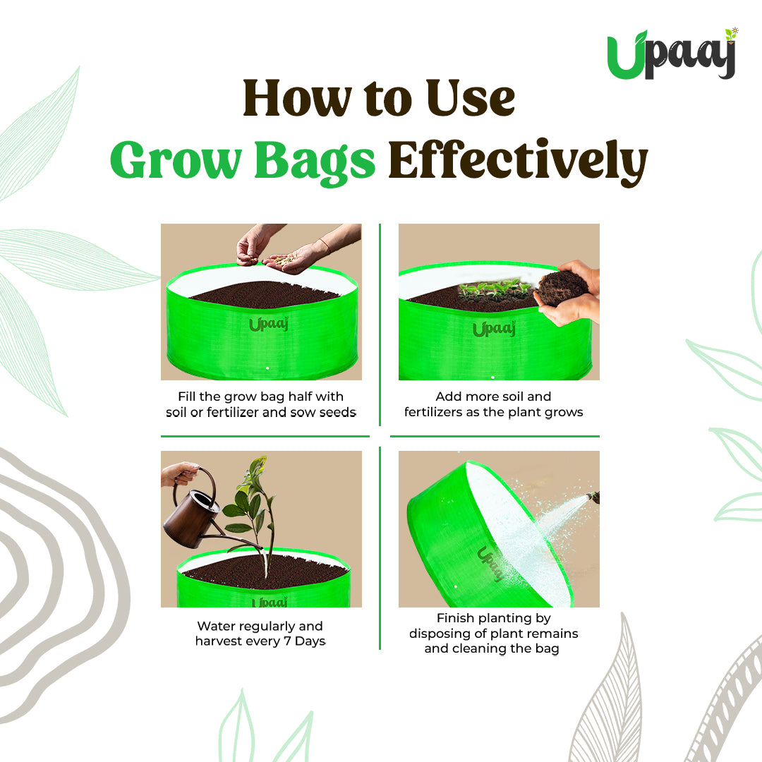 How to use plant bags 24X9 HDPE grow bags