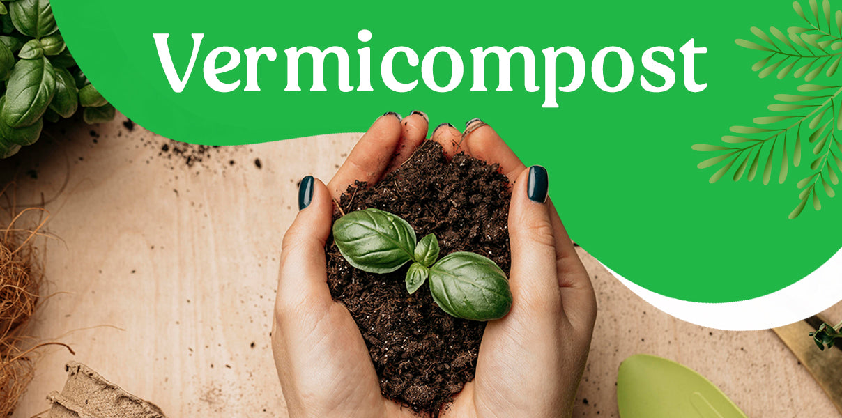 Everything You Need to Know About Vermicompost