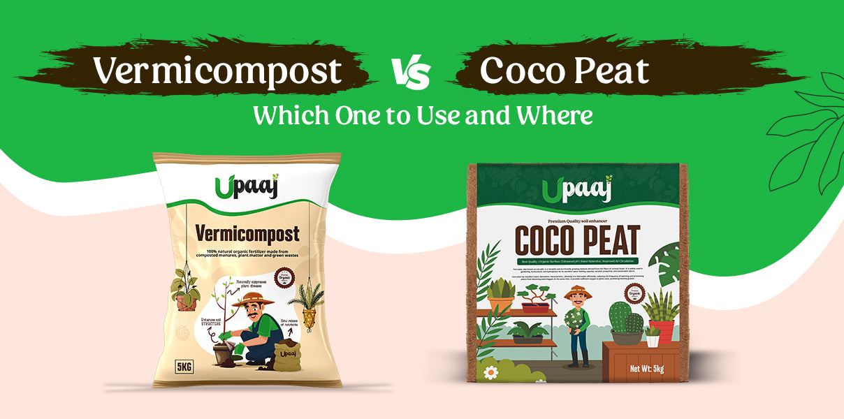 Coco Peat vs Vermicompost Which One to Use and Where