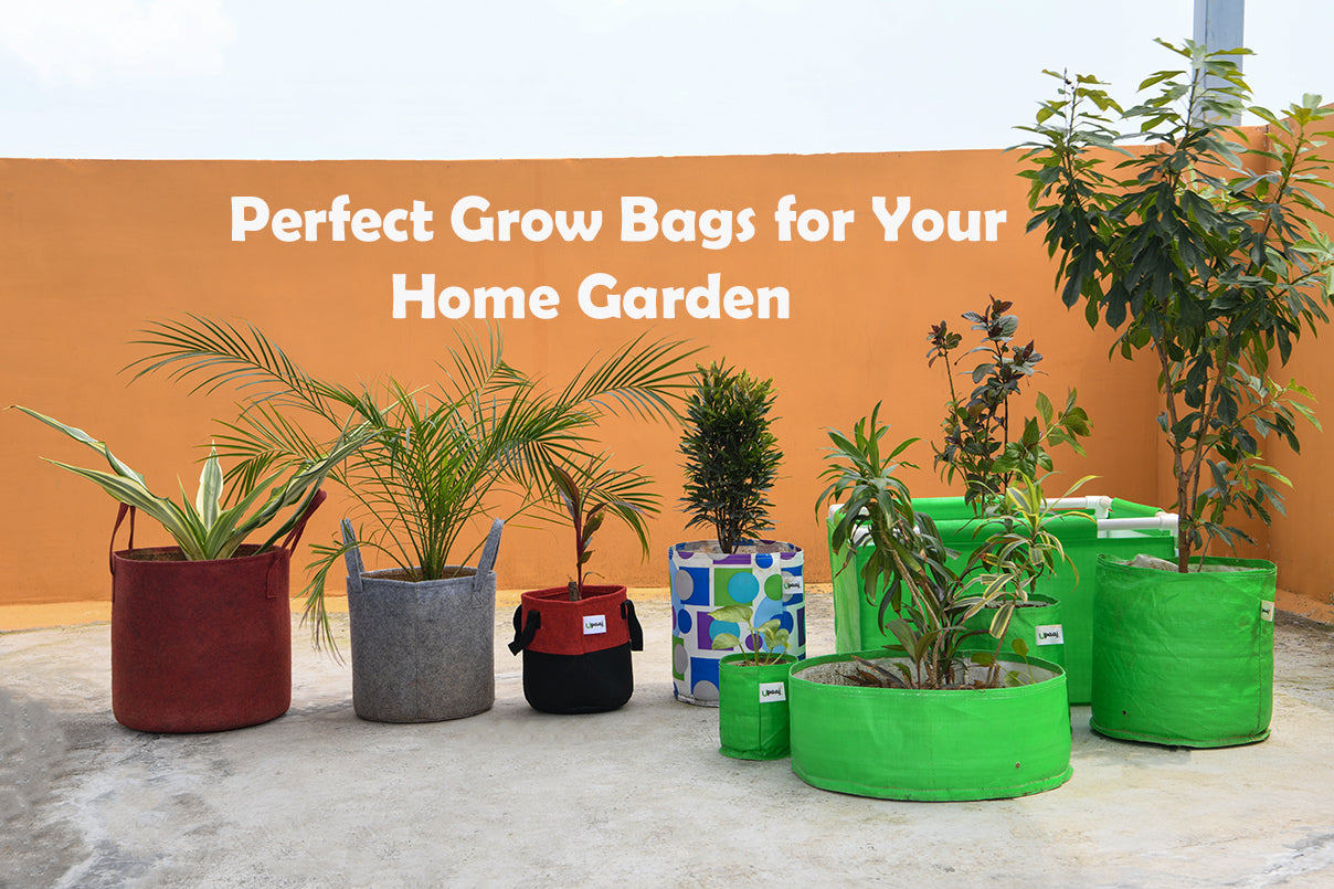 Guide to Choose the Right Grow Bag for Your Home Garden