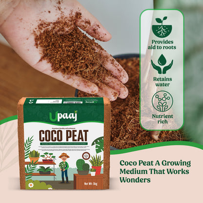 Coco peat work wonders for gardeners and green thumbs 