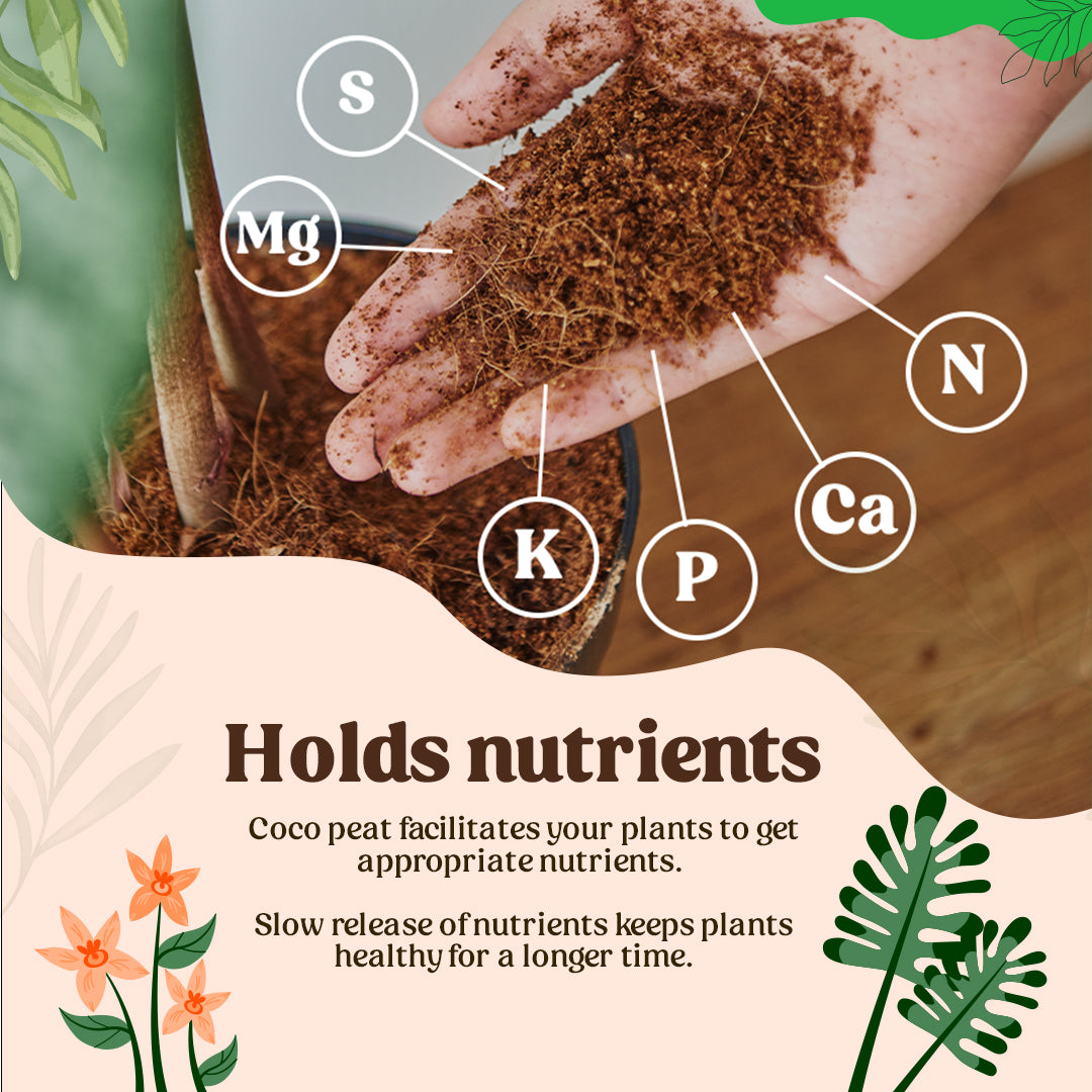 Nutrient rich garden soil for plants