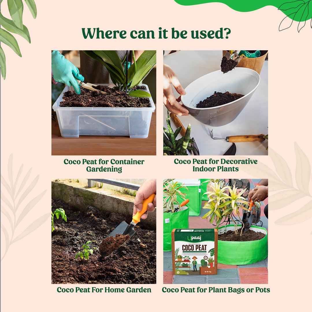 Where to use coco peat for garden