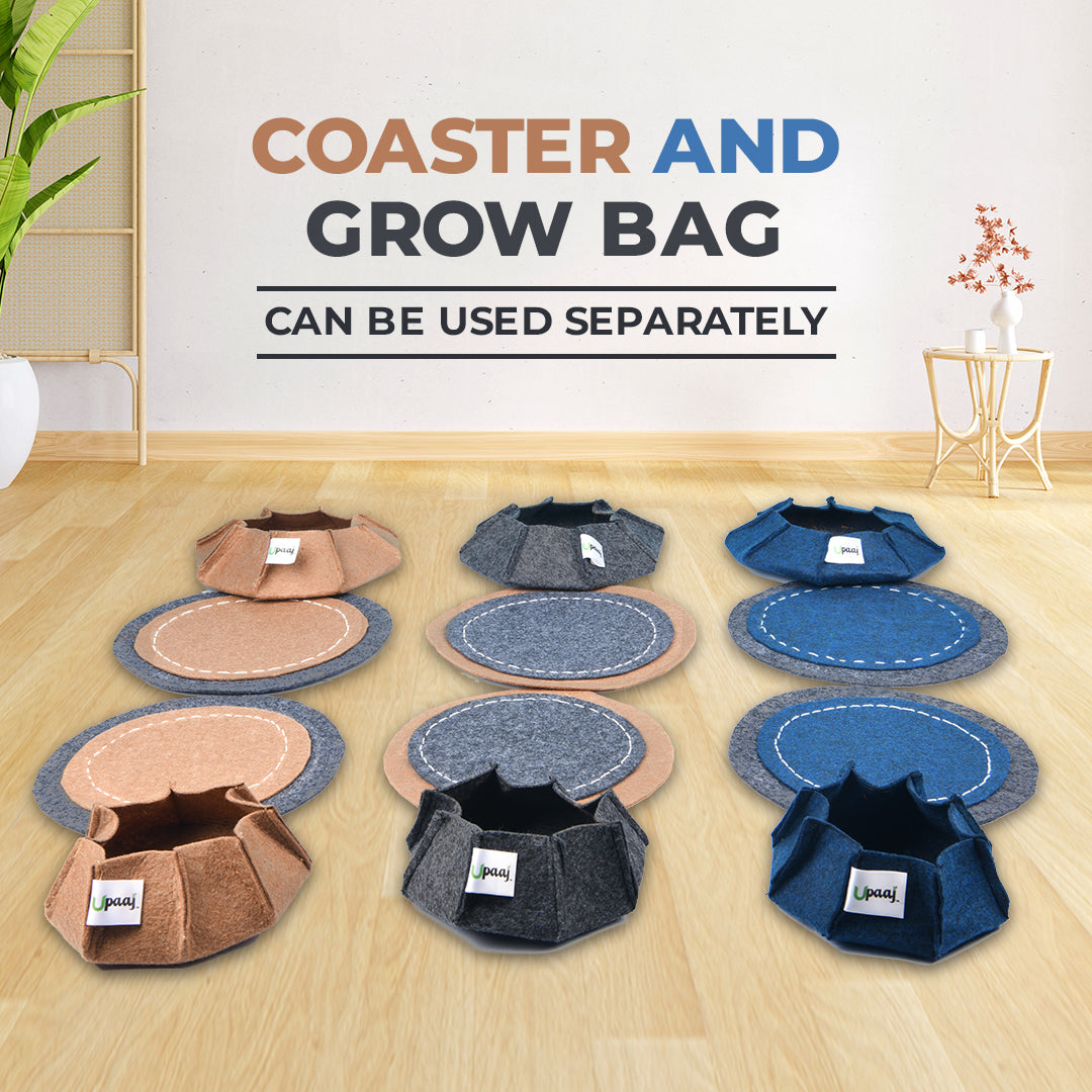 coaster grow bag with coaster and grow bag used separately 