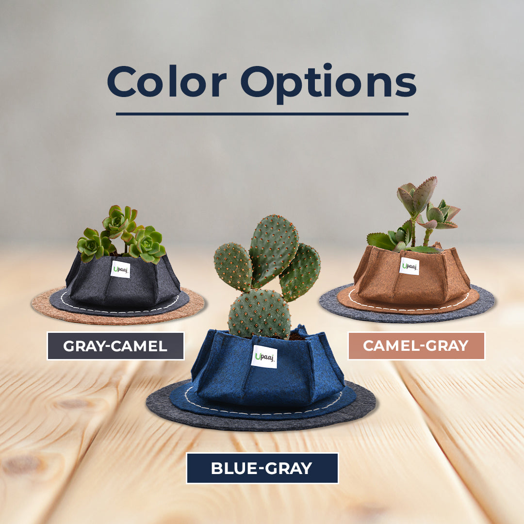 Different color geo fabric coaster grow bags 