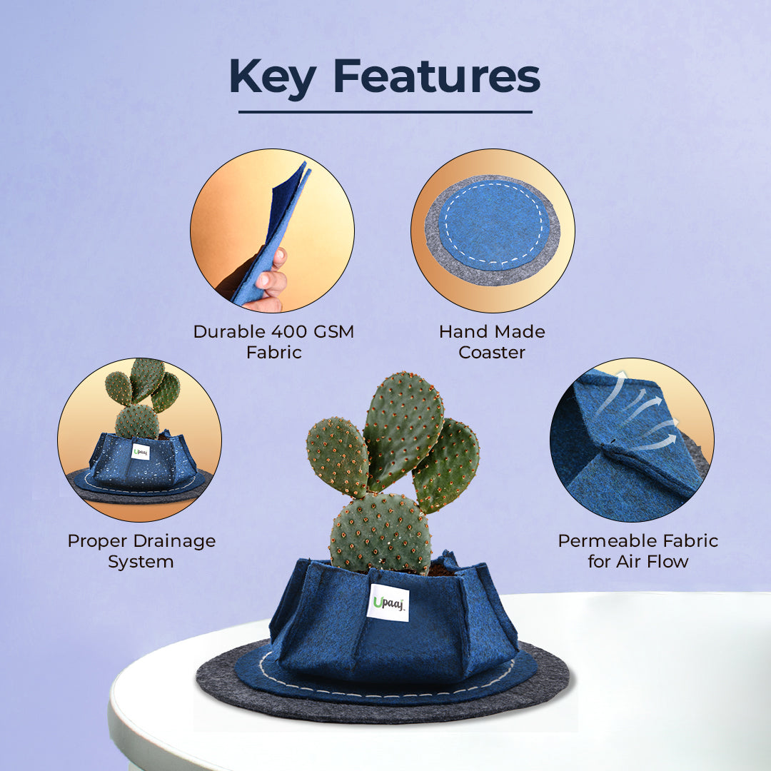 Key features of geo fabric grow bags with coaster