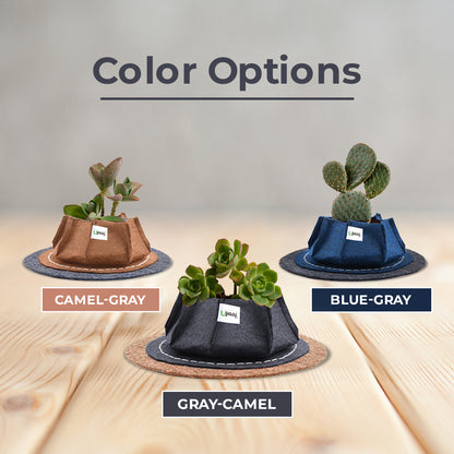 Different color geo fabric coaster grow bags