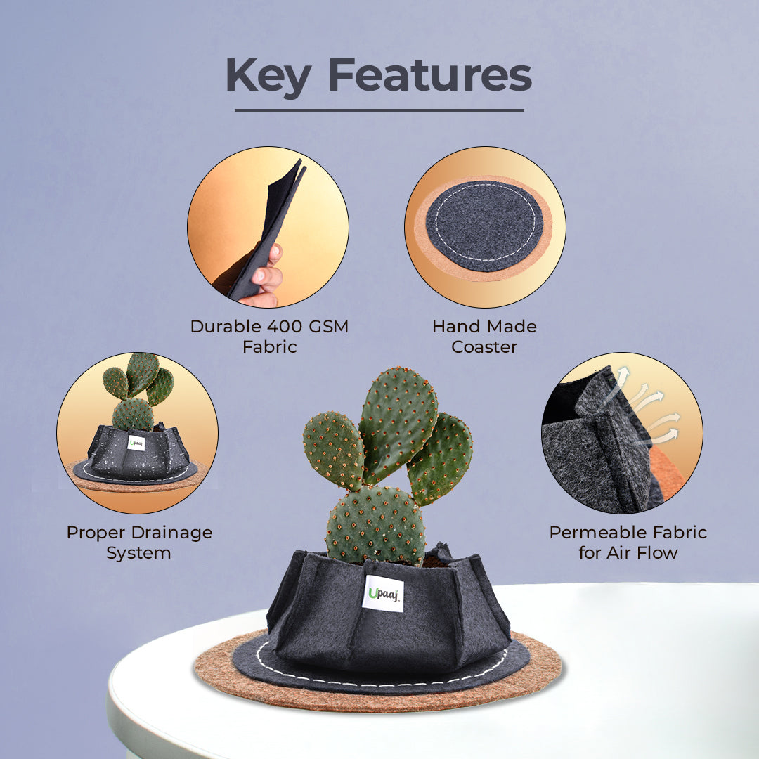 Key features of geo fabric grow bags with coaster