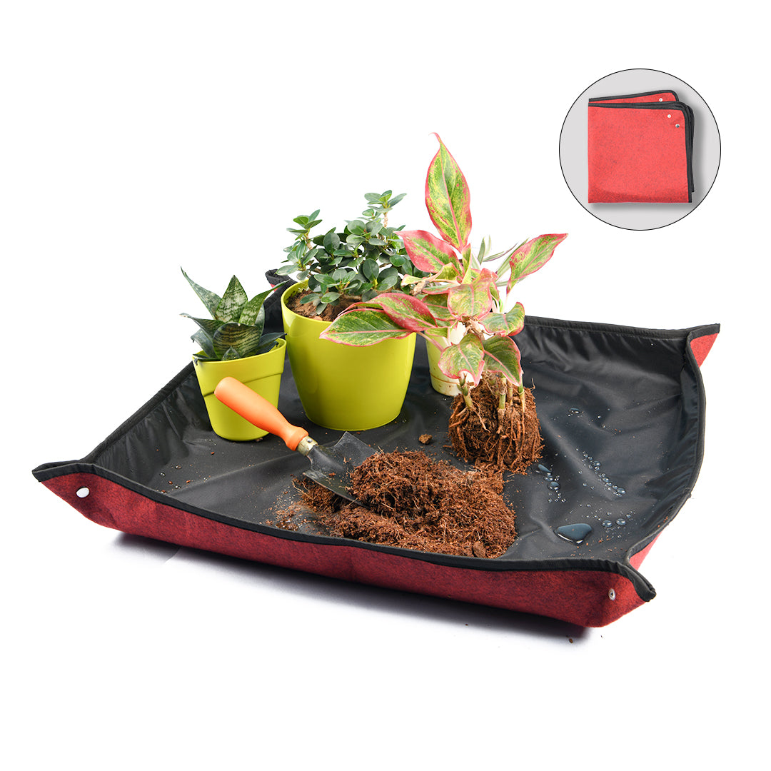 Gardening mat with plant pots and cocopeat