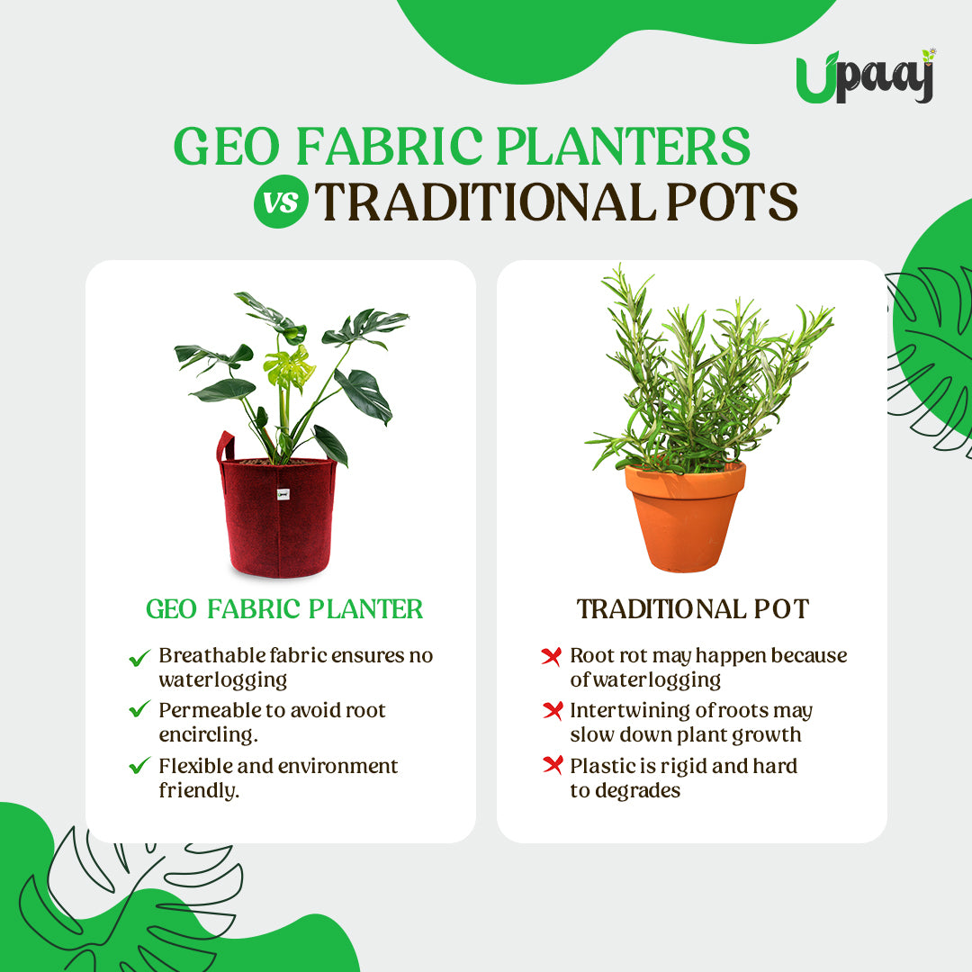 Geo fabric plant grow bag vs traditional pot image 