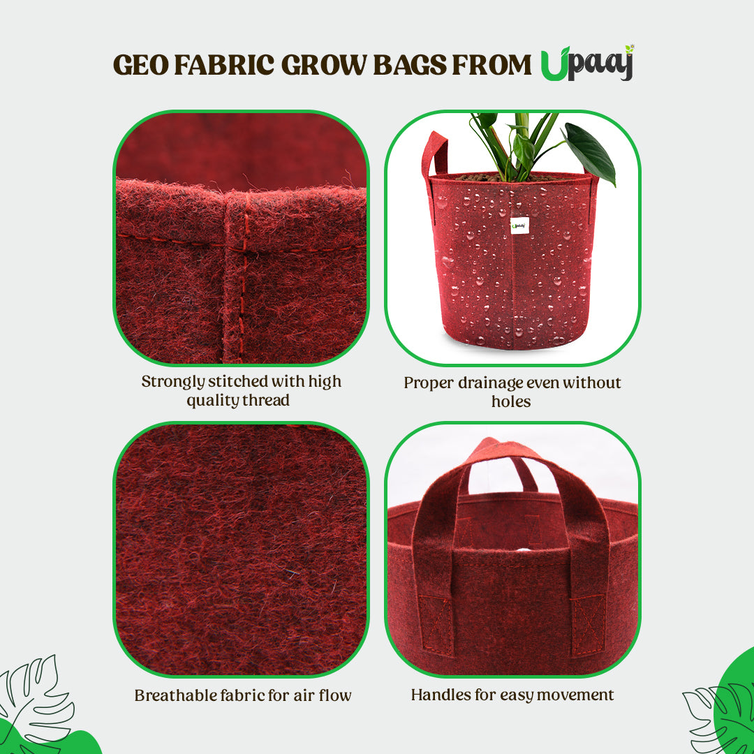 Features of geo fabric indoor garden bag for plants