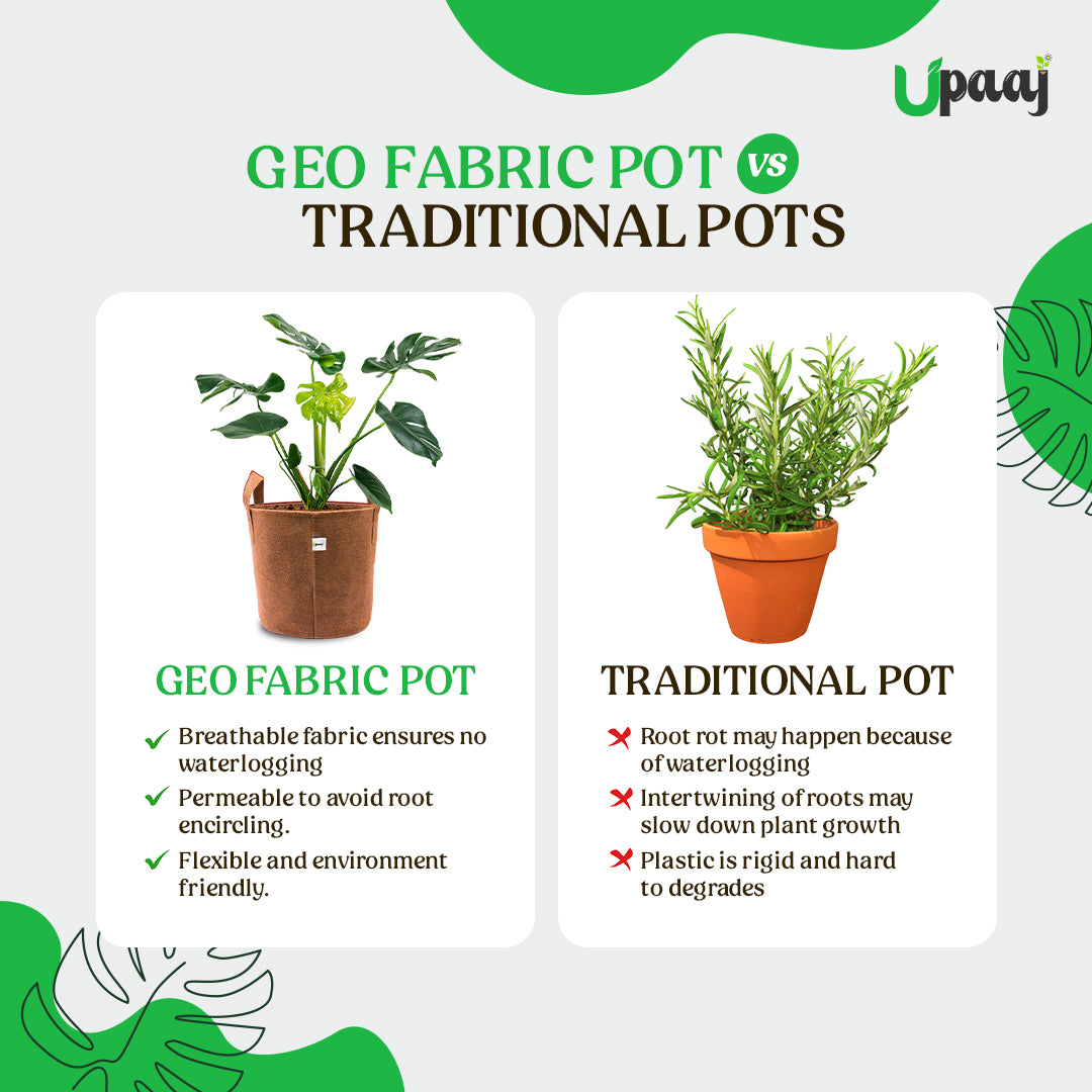 Geo fabric plant grow bag vs traditional pot image