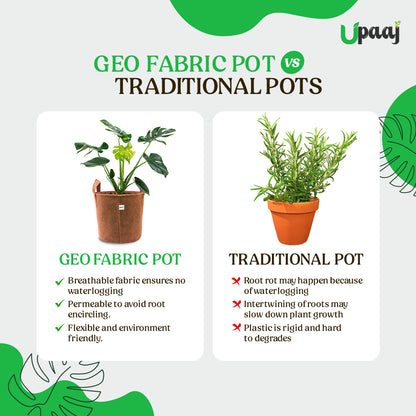 Geo fabric plant grow bag vs traditional pot image