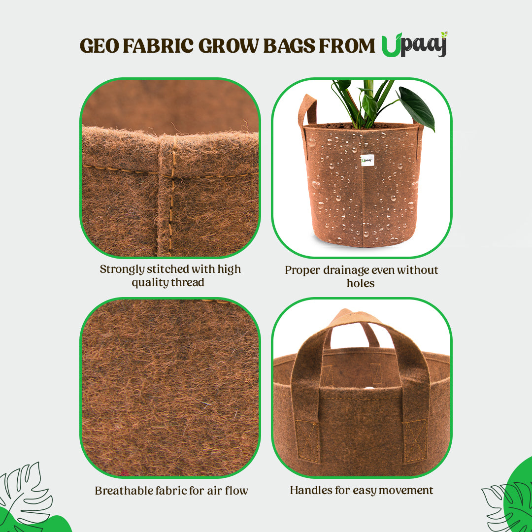 Features of geo fabric indoor garden bag for plants