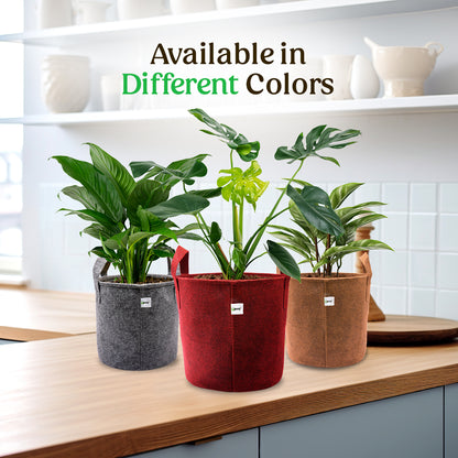 Image of different color geo fabric grow bags for plants