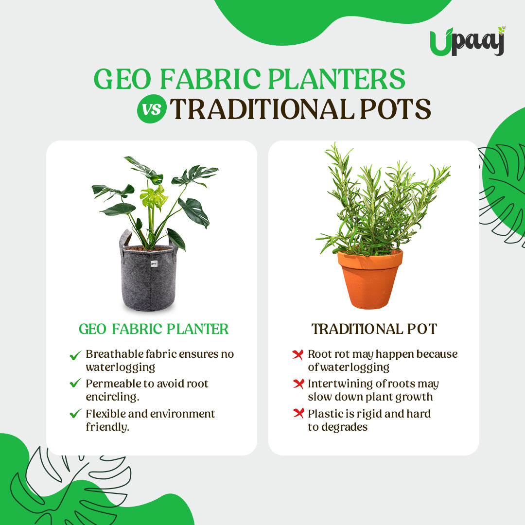 Geo fabric plant grow bag vs traditional pot image