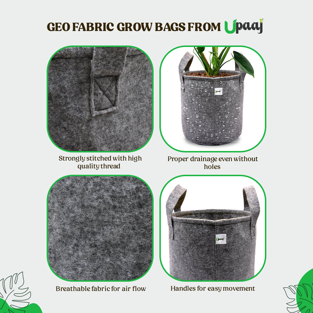 Features of geo fabric indoor garden bag for plants