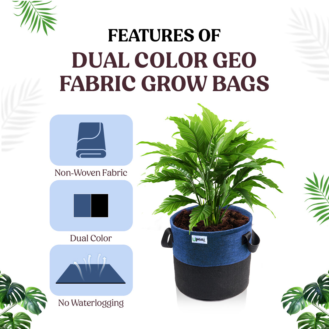 Features of dual color geo fabric grow bag