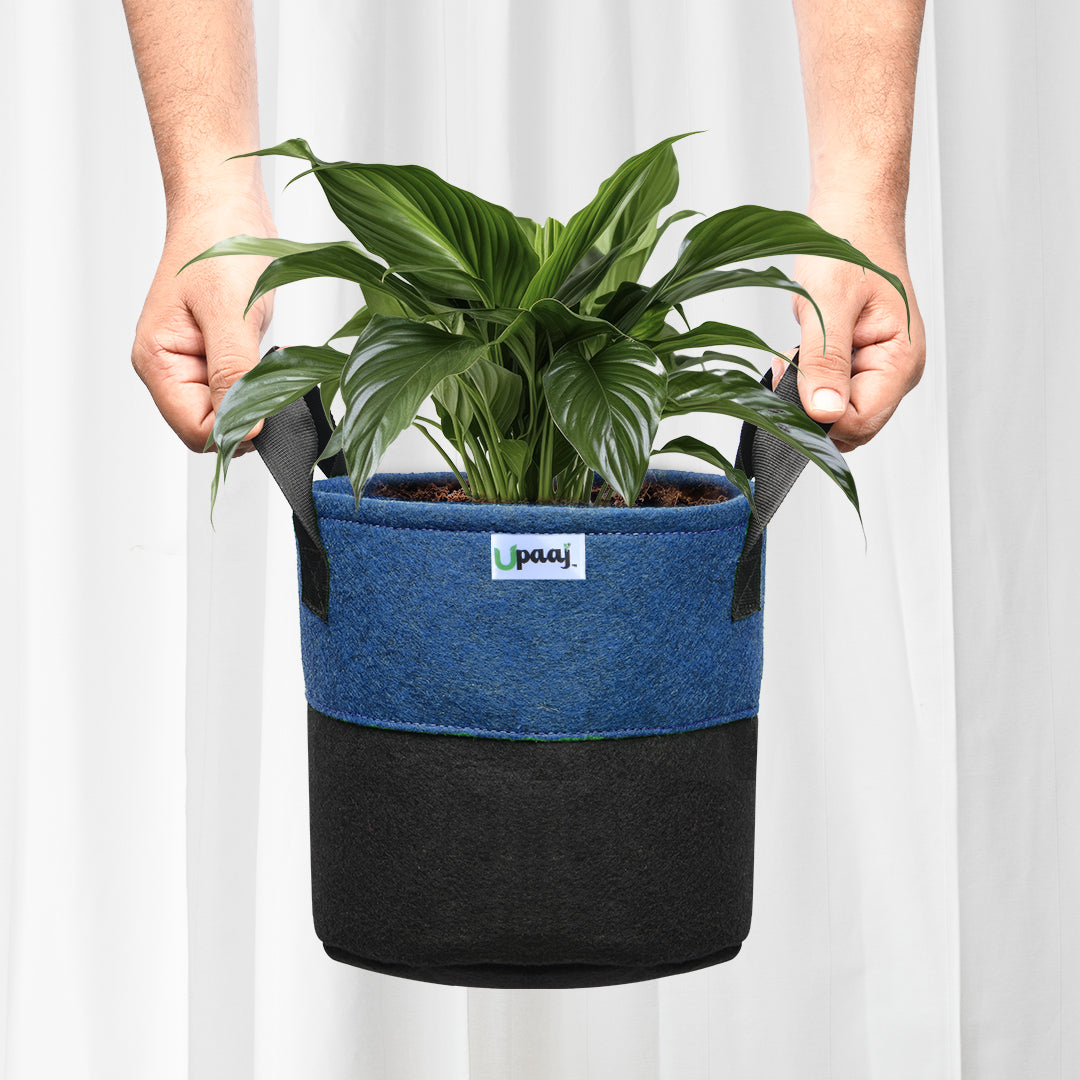 Dual color geo fabric grow bag with plant with handles  