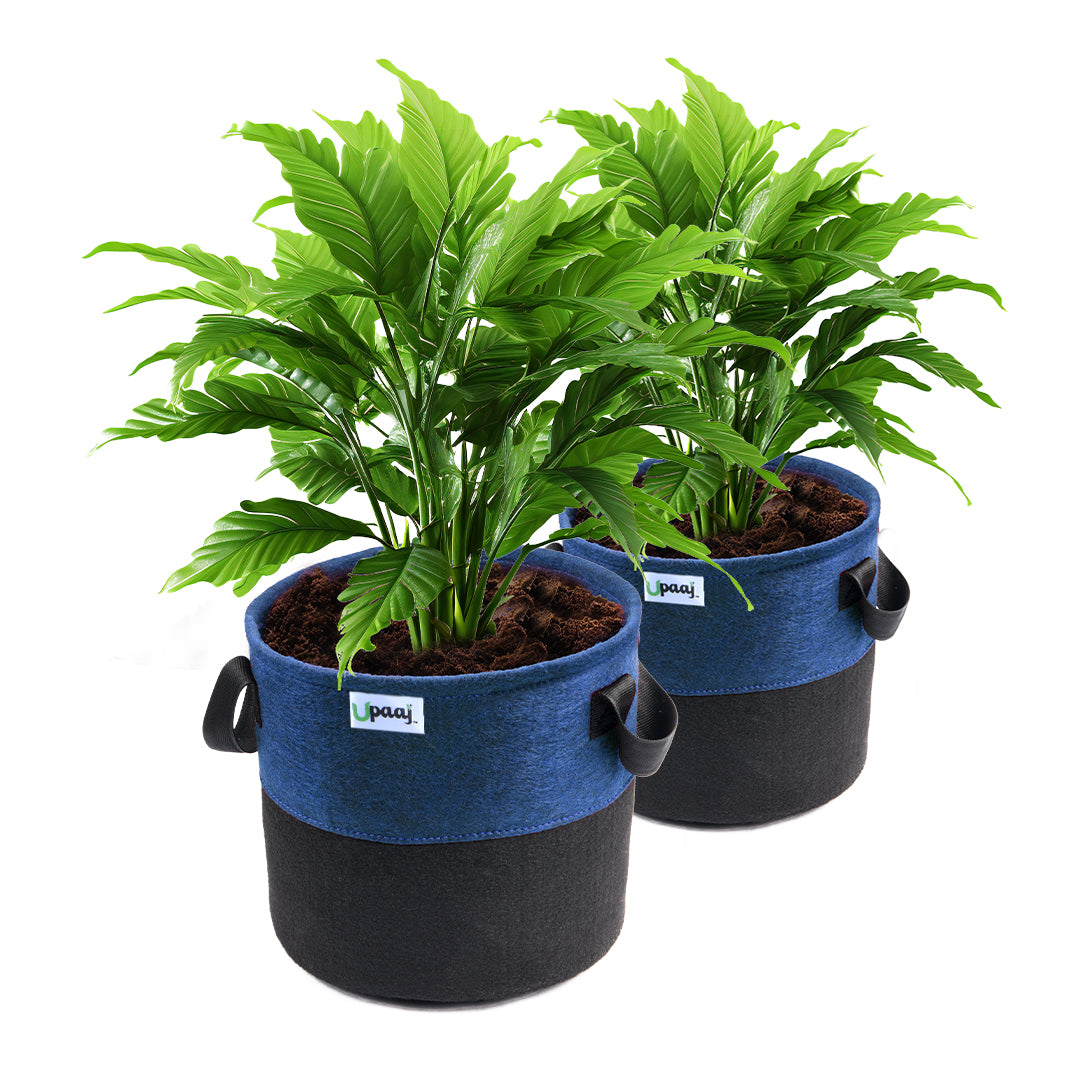 Dual color geo fabric grow bag with plant with handles Pack of 2