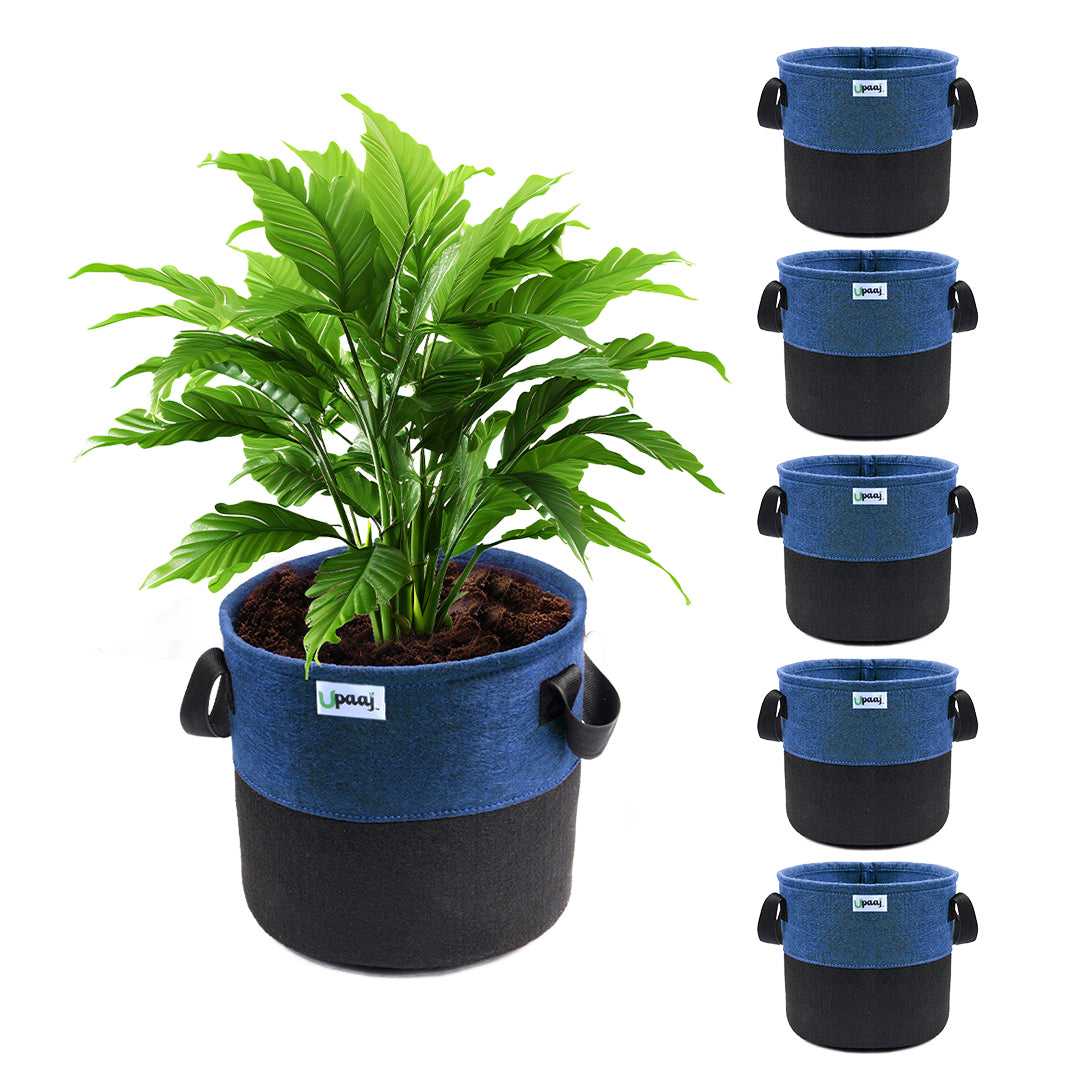 Dual color geo fabric grow bag with plant with handles Pack of 6