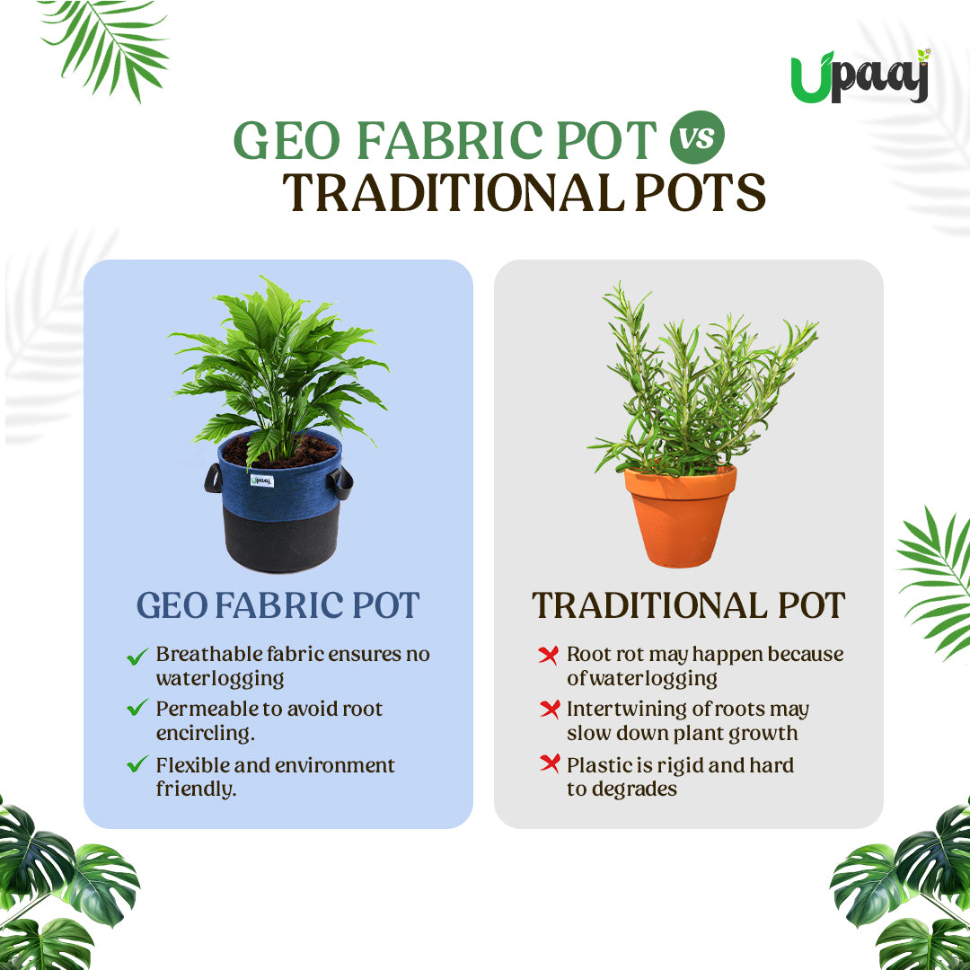 Geo fabric grow bag vs traditional plant pot