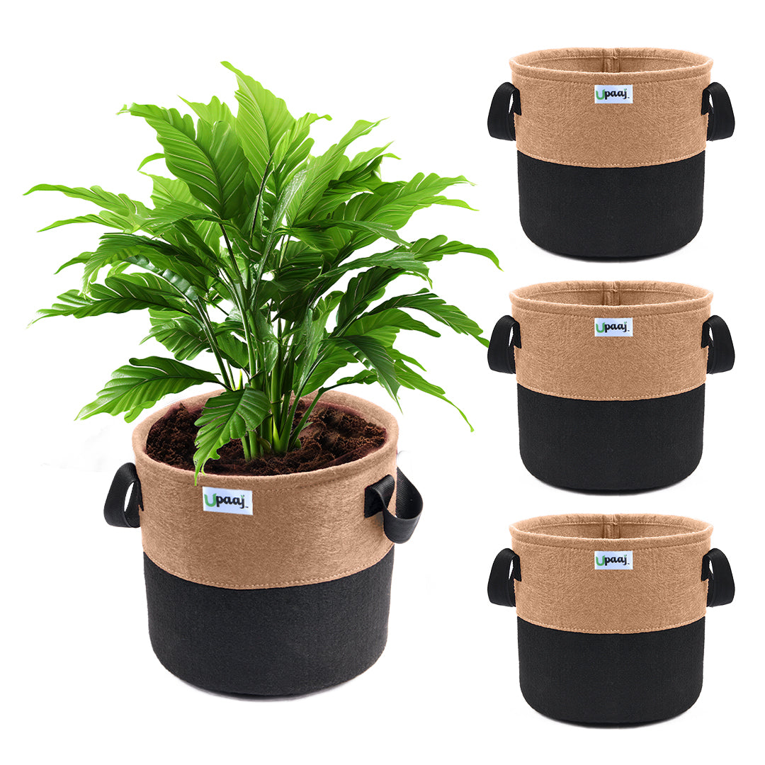 Dual color geo fabric grow bag with plant with handles Pack of 4