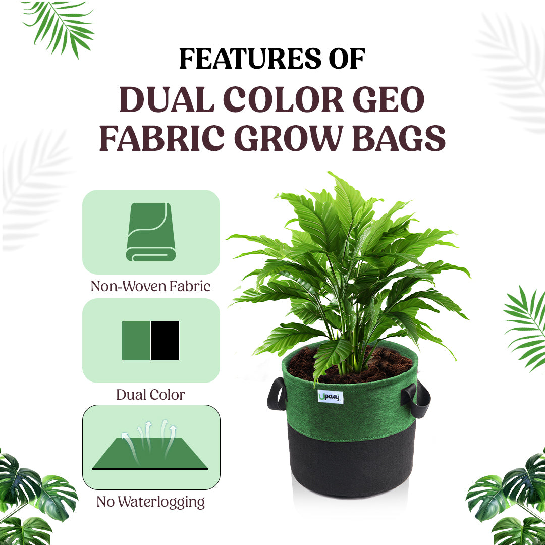 Features of dual color geo fabric grow bag