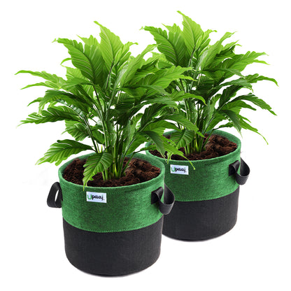 Dual color geo fabric grow bag with plant with handles Pack of 2