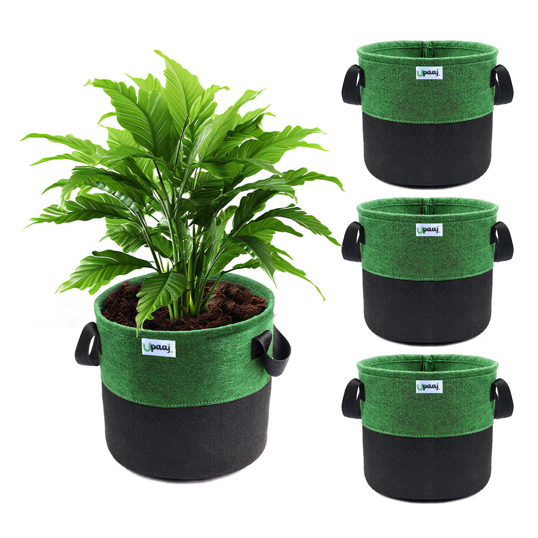 Dual color geo fabric grow bag with plant with handles Pack of 4