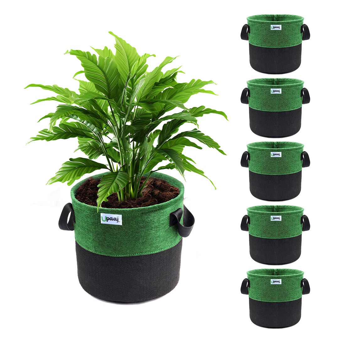 Dual color geo fabric grow bag with plant with handles Pack of 6