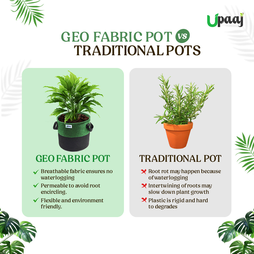 Geo fabric grow bag vs traditional plant pot