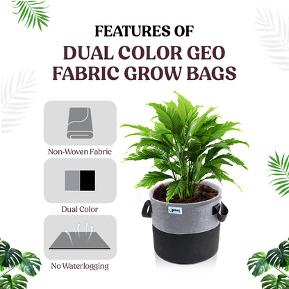 Features of dual color geo fabric grow bag