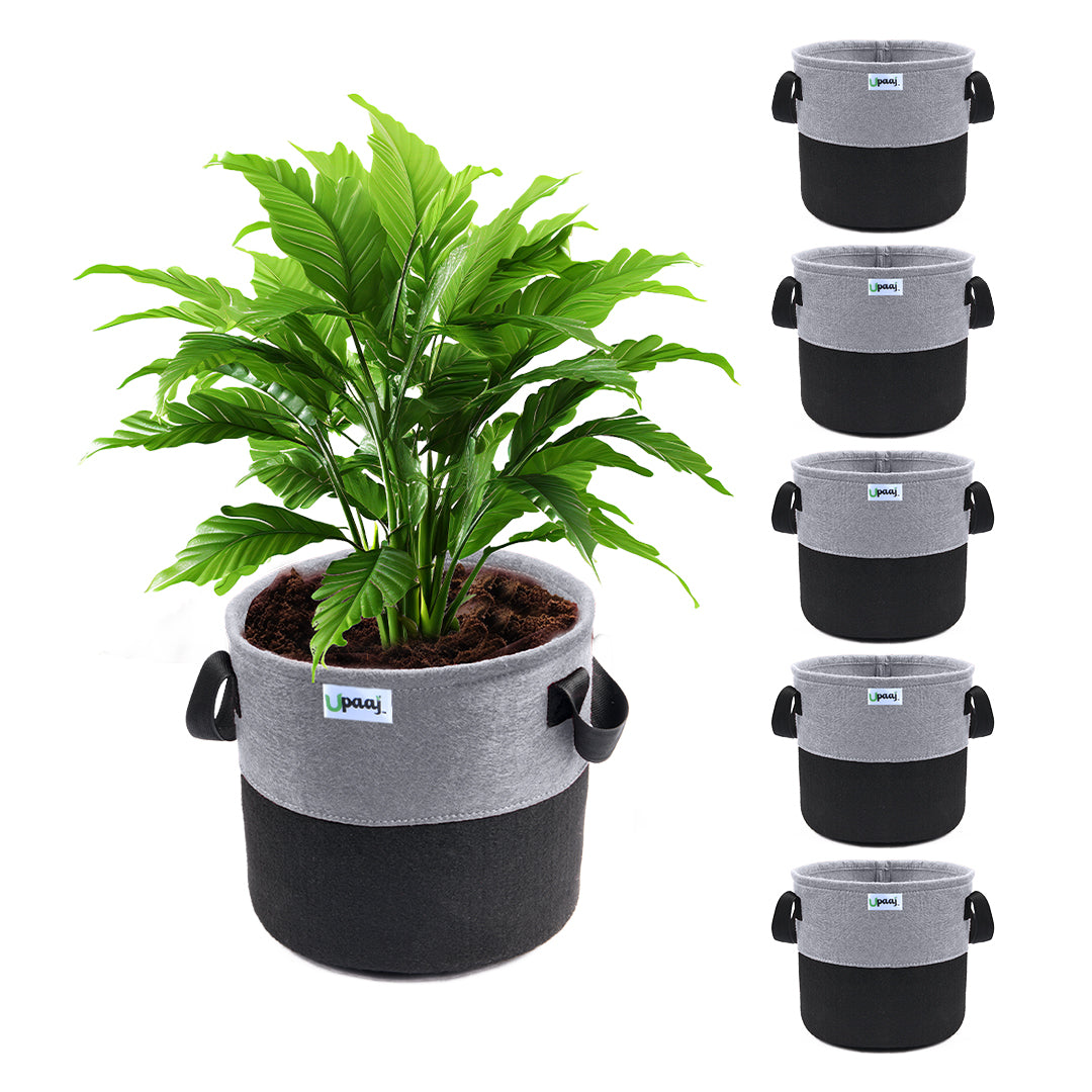 Dual color geo fabric grow bag with plant with handles Pack of 6