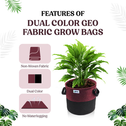 Features of dual color geo fabric grow bag