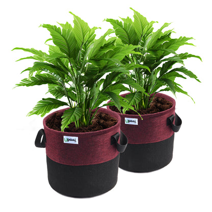 Dual color geo fabric grow bag with plant with handles Pack of 2