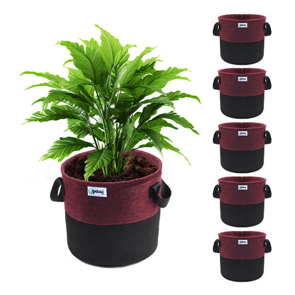 Dual color geo fabric grow bag with plant with handles Pack of 6