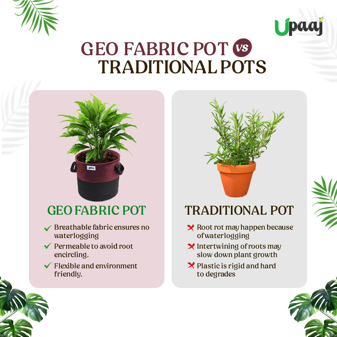 Geo fabric grow bag vs traditional plant pot