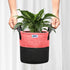 Dual color geo fabric grow bag with plant with handles 