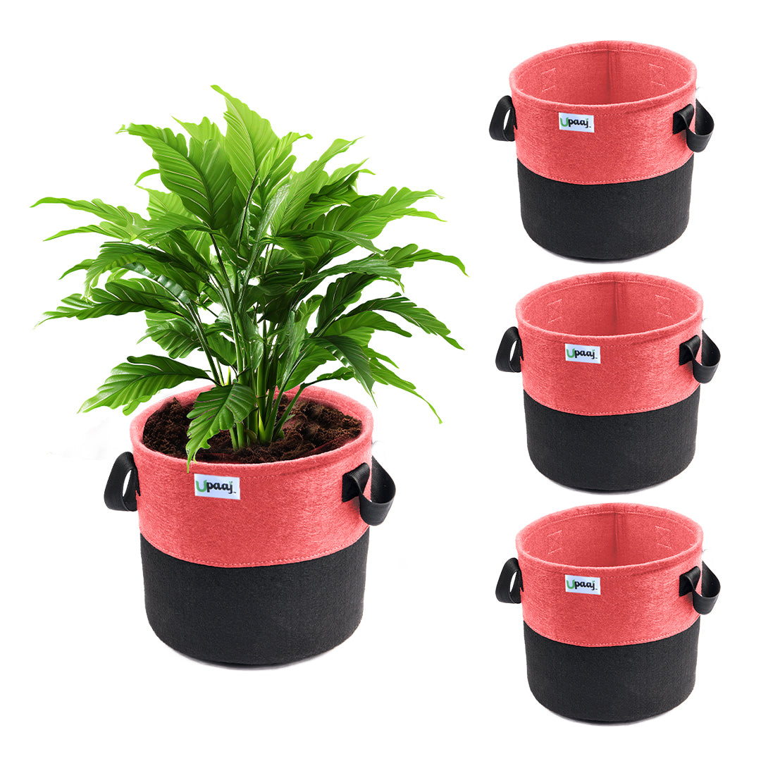 Dual color geo fabric grow bag with plant with handles Pack of 4