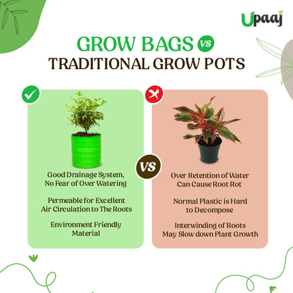 Grow bag vs traditional grow pots