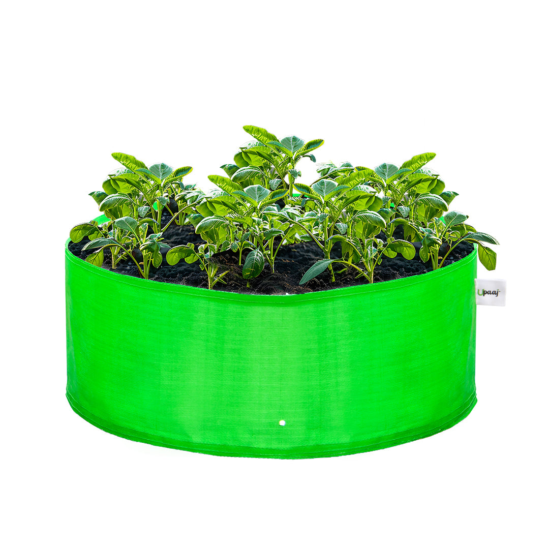 White background image of 18X6 inch grow bag with plant