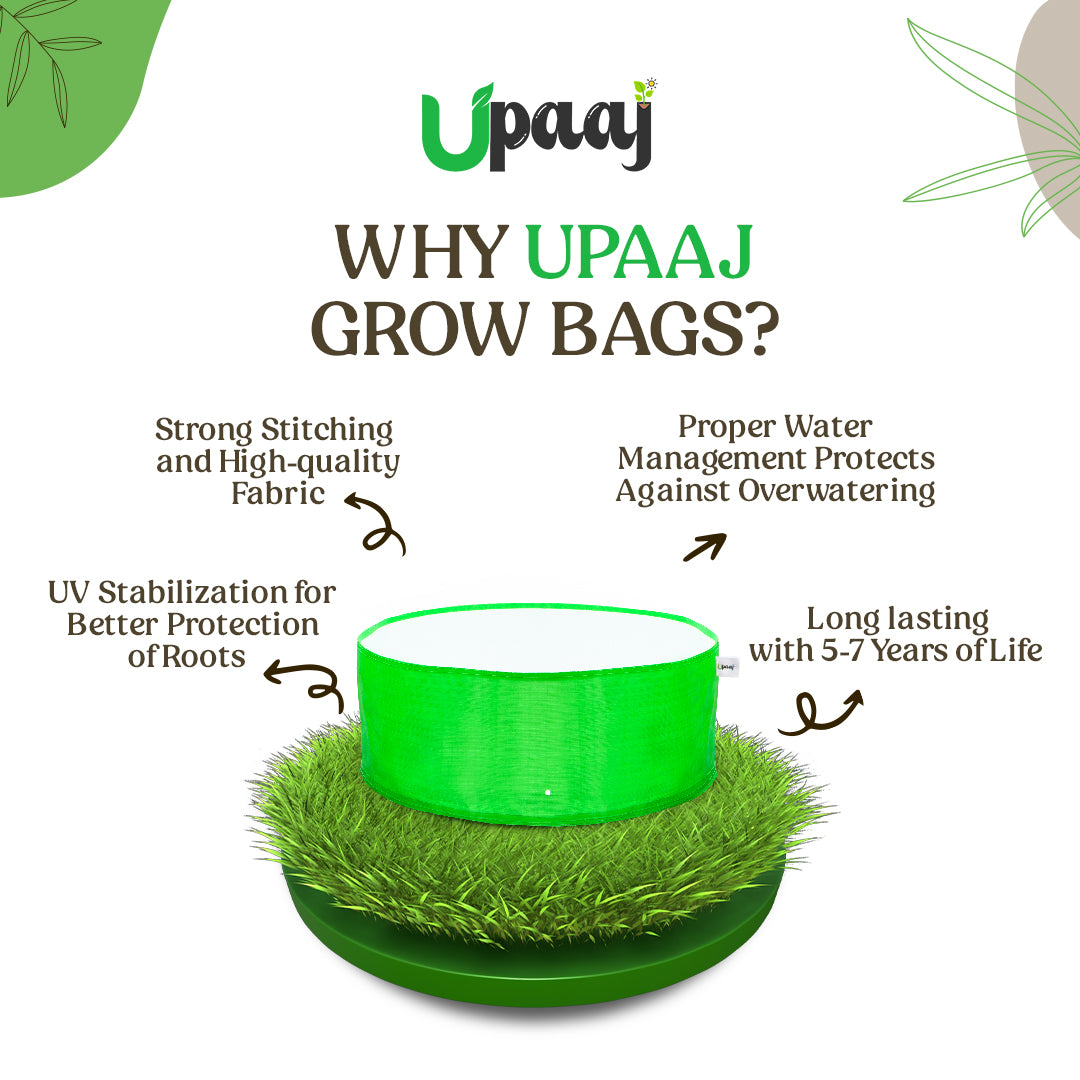 Why to use Upaaj HDPE grow bags