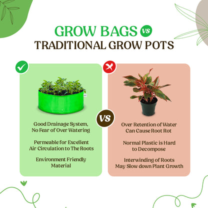 Grow bag vs traditional grow pots