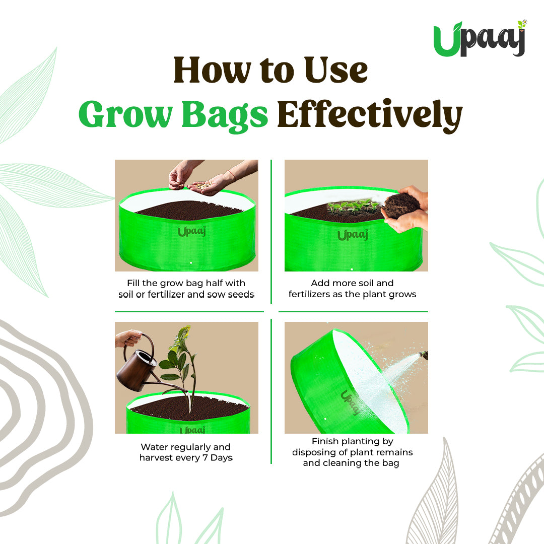 How to use plant bags 18X9 HDPE grow bags