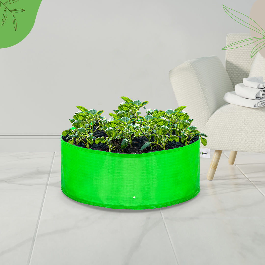 HDPE round shallow growbag with plant