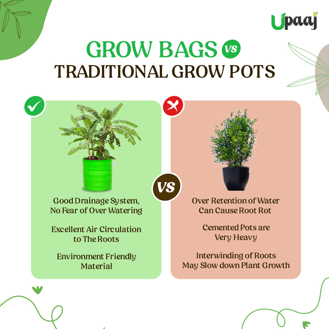 Grow bag vs traditional grow pots