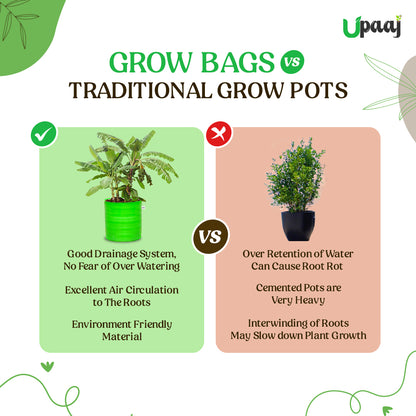 Grow bag vs traditional grow pots