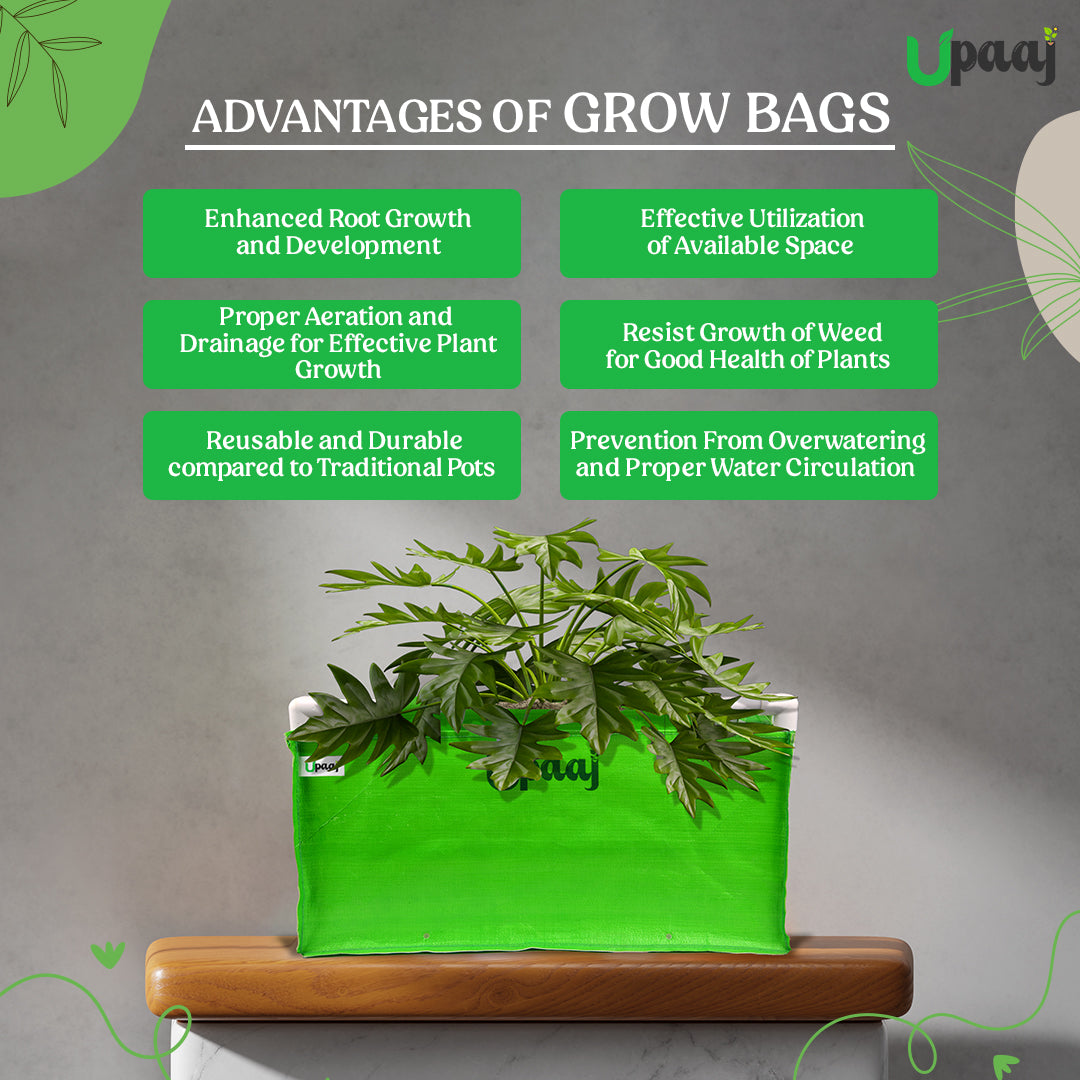 Advantages of rectangular plant bags for home garden