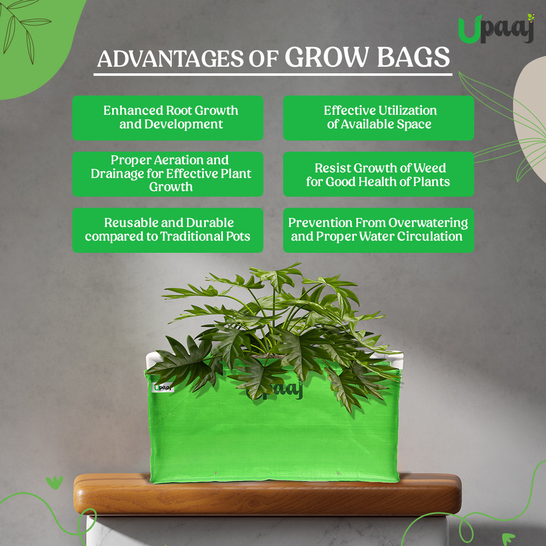 Advantages of rectangular plant bags for home garden